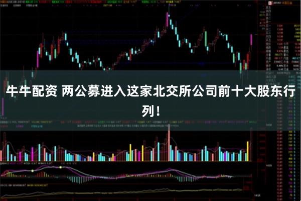 牛牛配资 两公募进入这家北交所公司前十大股东行列！