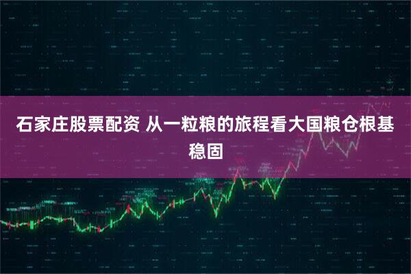 石家庄股票配资 从一粒粮的旅程看大国粮仓根基稳固